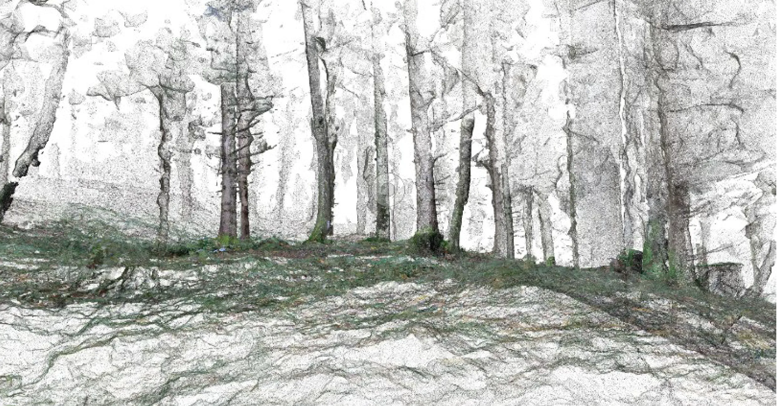 3D Scanning